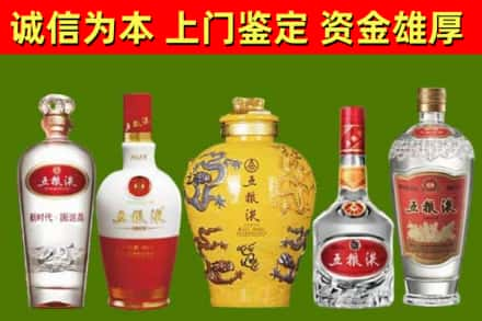 镇宁县烟酒回收五粮液系列.jpg